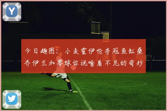 今日趣图：小麦霍伊伦夺冠鱼缸桑乔伊兰加零球你说啥看不见的奇妙瞬间