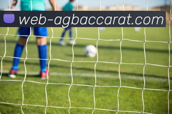 AG百家乐平台生态图