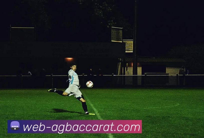 AG百家乐APP 封面图