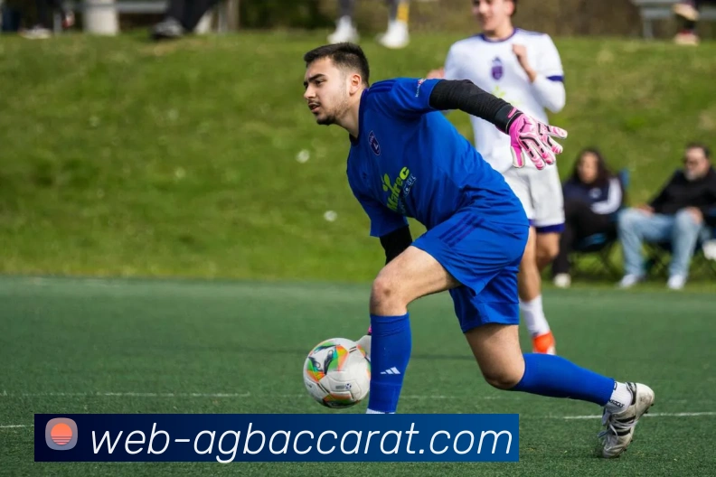 数据防护可视化